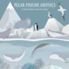 Polar Arctic Marine Animal Vector Illustrations
