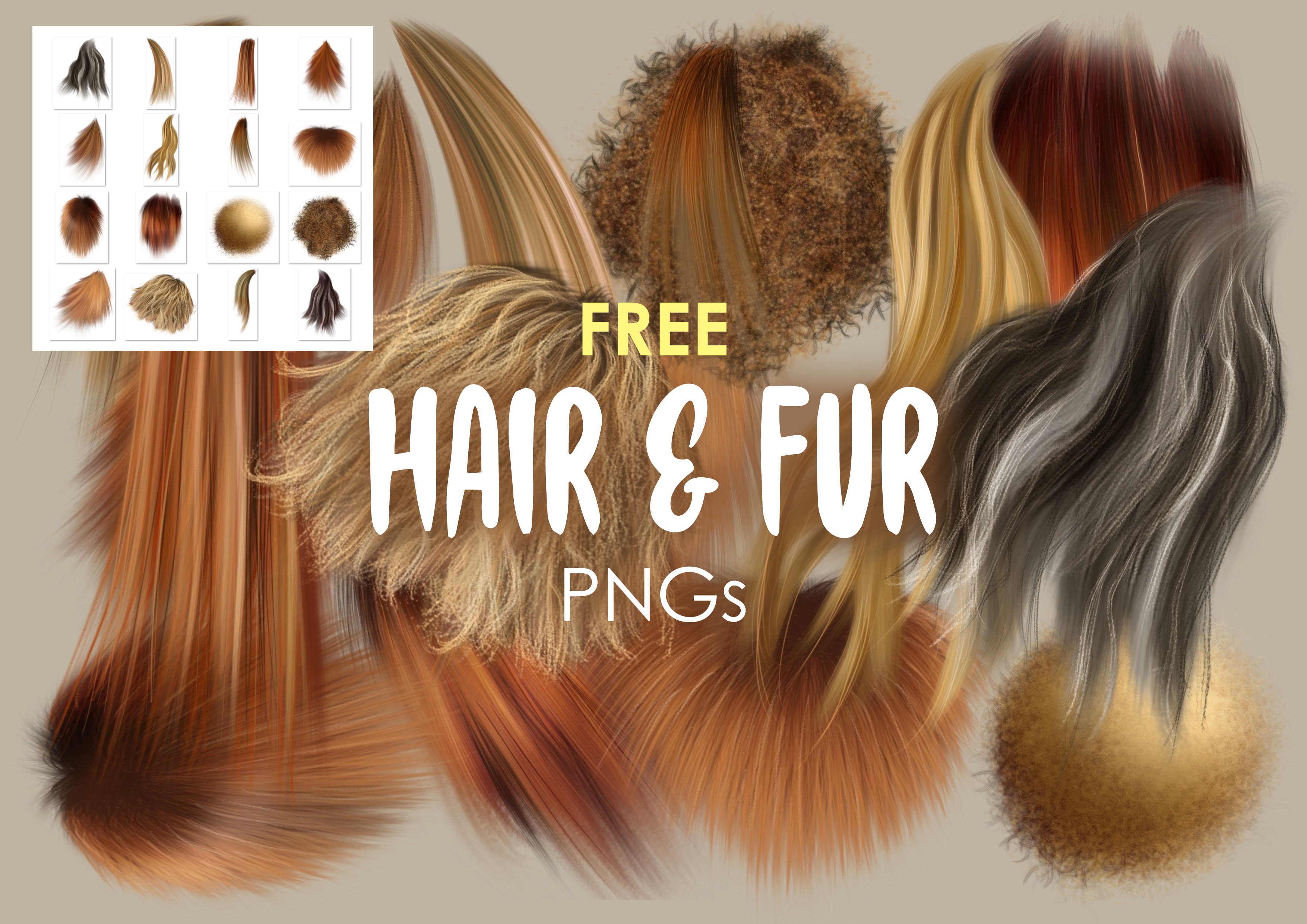Free fur and hair png graphics clipart